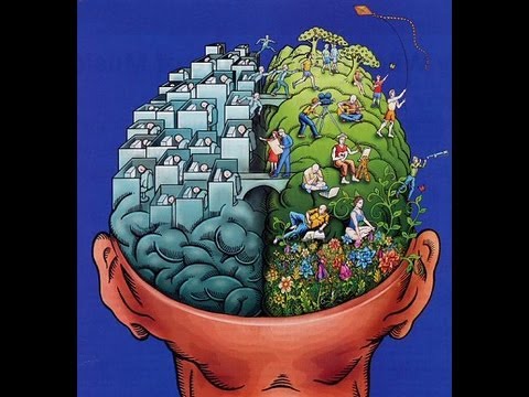 Lecture 3 - From Split-Brain, to Meta-Brain