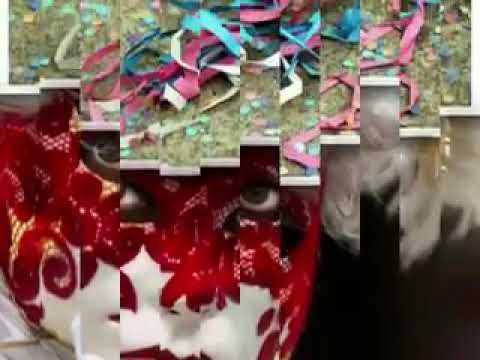 1 hora de marchinha de carnaval - bons tempos