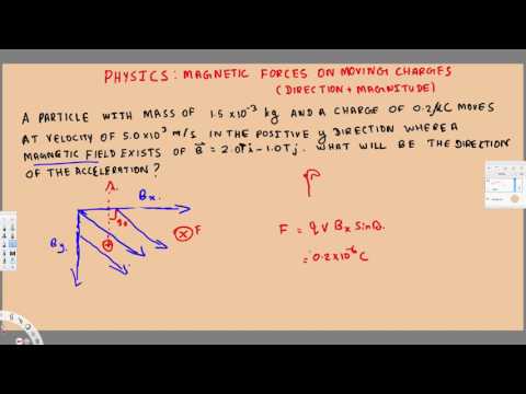 Physics - Magnetic Forces on Moving Charges  ( Direction, Magnitude)   Example 1