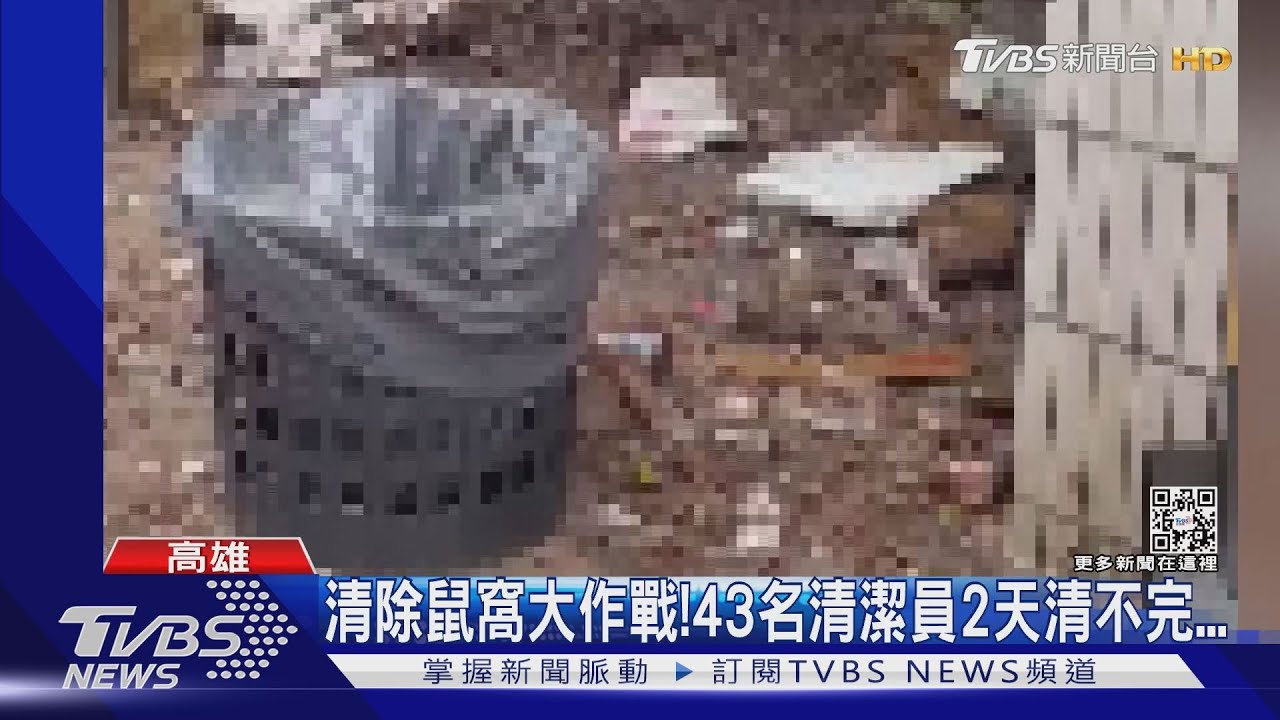 剷除惡鄰鼠窩!43人清4噸垃圾 鄰居歡呼:像中樂透