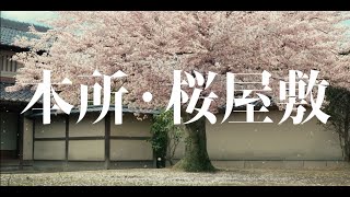 テレビスペシャル「鬼平犯科帳 本所・桜屋敷」（60秒版）