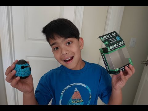 New Smart Egg Puzzle (Spider) - Level 2