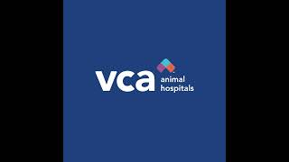 VCA's Global Collaboration with Petcare Brazil: Dr. Sibele Konno