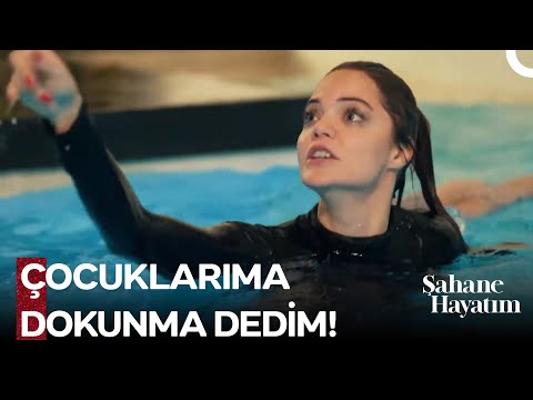 Şebnem Olma Sanatı #20: Gerektiğinde Yırtıcı Bir Kadın Olacaksın! - Şahane Hayatım