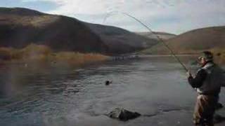 preview picture of video 'John Day River steelhead'