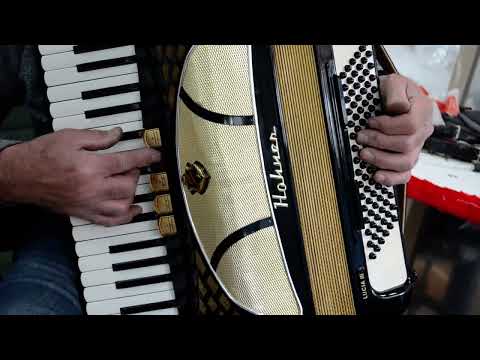 Rare Hohner Lucia III - 96 bass, 8 reg. Top German Piano Accordion+Original Hard Case~MUSETTE SWITCH image 13