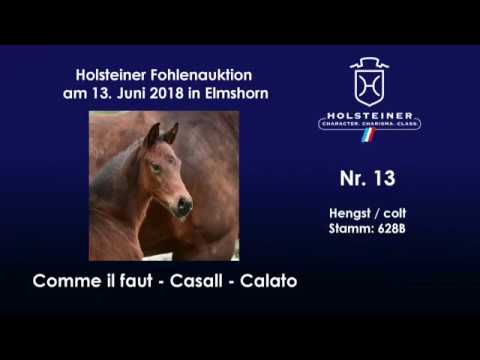 Holsteiner Fohlenauktion im Juni | Nr. 13 v. Comme il faut - Casall