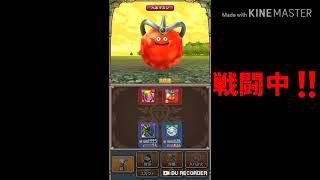 【テリワン生声実況】らいうんの扉-黄金郷-入手魔物とは⁉️part18