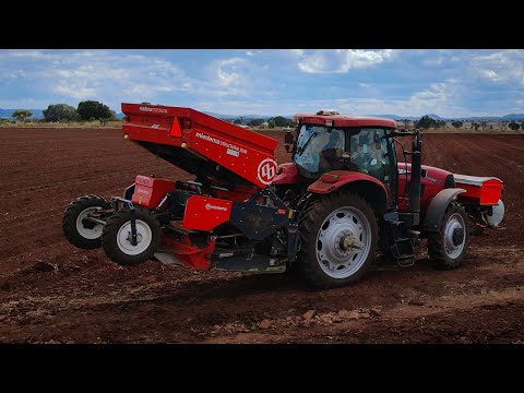 Potato planter | Dewulf MS2000 | Go&Grow Farm Solutions