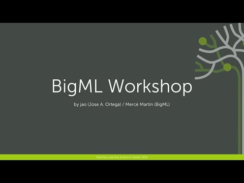 Machine Learning Workshop