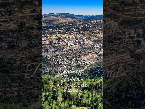 Palestine: Land of Olives and Vines — Cultural Landscape of Southern Jerusalem, Battir