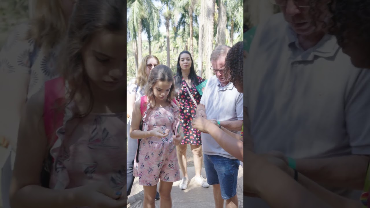 Visita Mediada Panorâmica