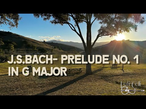 Promotional video thumbnail 2 for Ruti Celli Music