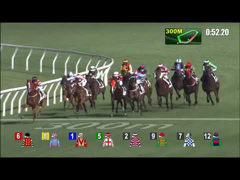 9/3/2022 (486) Joyful Mood - Z Purton