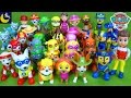 LOTS Of Paw Patrol Pup Toys Marshall Chase Tracker Apollo Everest Rocky Rumble Zuma Skye Pup Toys