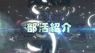 【ドラクエ10】チーム「そして伝説へ・・・」【部活紹介映像】