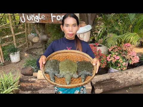 Turtle Soup Recipe | How to cook turtle