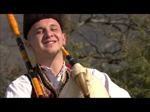 Вис "Аманет" - Ситна лиса / VIS "Amanet"- Sitna lisa