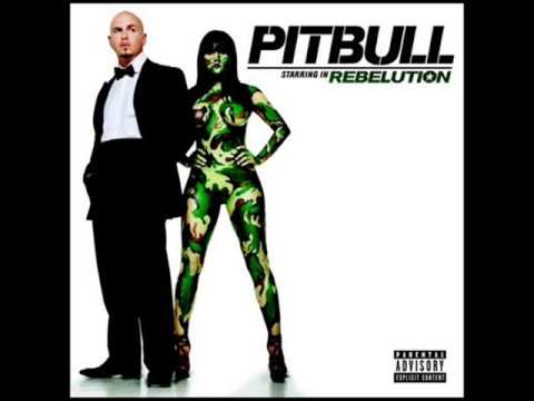 02 Shut It Down- Pitbull Featuring Akon