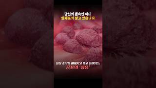 지금도 당신의 몸은 암세포를 만들어내고 있다