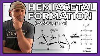 Hemiacetal Formation with Sugars