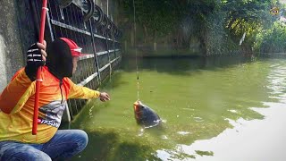 Download lagu REJEKI NOMPLOK Mancing ikan di Pintu Air Keramat Nila Babon bermunculan senar sampei PUTUS mp3