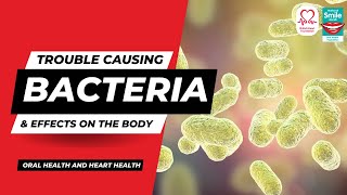 The Mouth Bacteria That Can Cause Heart Disease