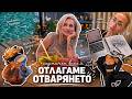 ОТЛАГАМЕ ОТВАРЯНЕТО проблеми с басейна нов бизнес пак 
