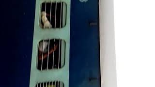 preview picture of video 'Karaikal ernakulam express crossing sikkal railway station'