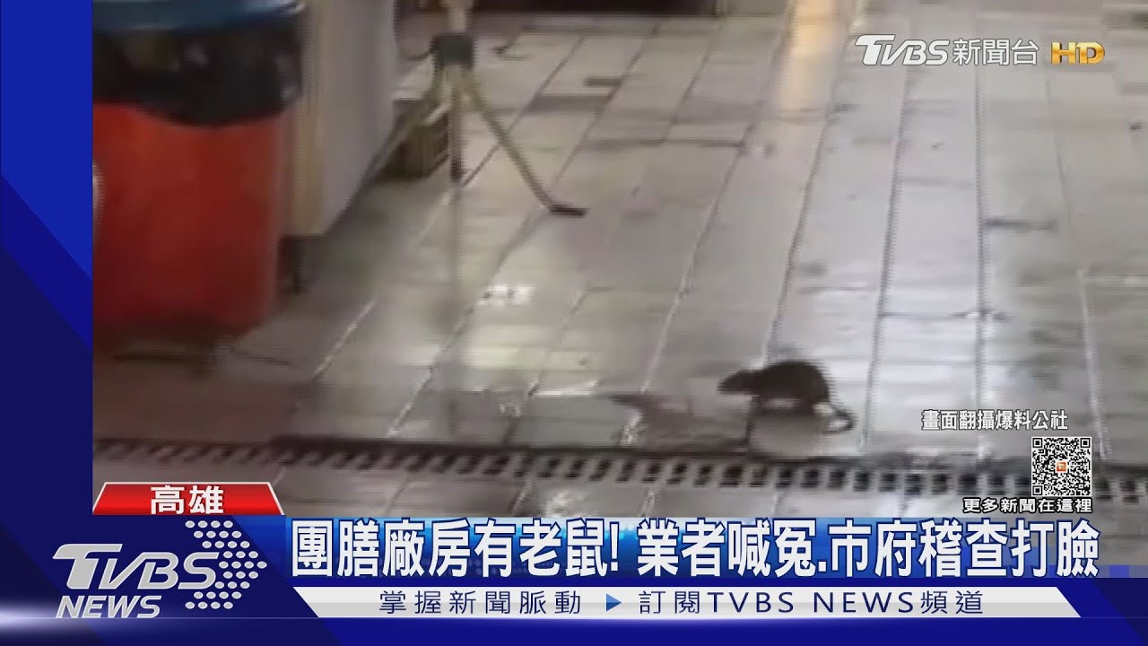 團膳廠房有老鼠亂竄!業者喊冤:半年沒用 遭衛生局打臉