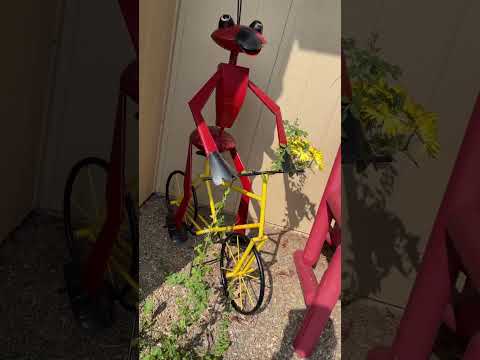 So Krazyee right now ???? ???? #sillyfunnyvideos #ants #bicycle