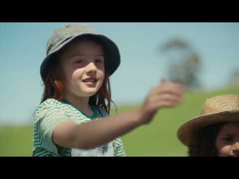 WOOLWORTHS Christmas Ad 2025