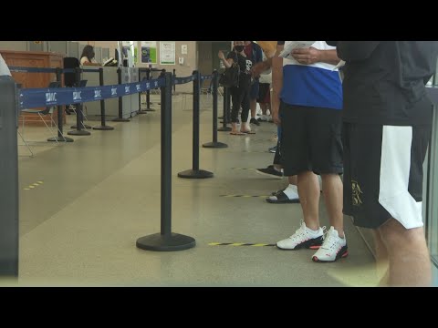NJ undocumented immigrants eligible for driver's...
