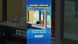 "일본 세금도 이런데 써줘" 한국 길거리에 부러움 폭발 [이슈한컷] #shorts / YTN