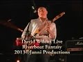 David Wilcox Riverboat Fantasy Sabstock  Janni Productions