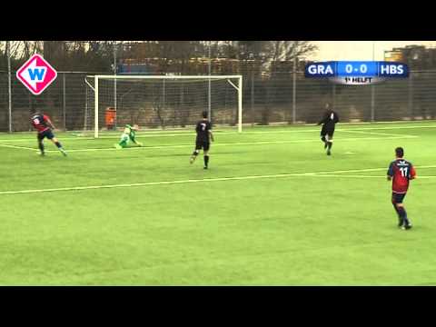 Samenvatting 's-Gravenzande - HBS