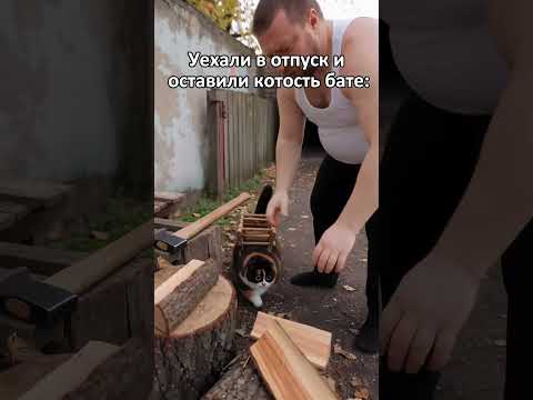 twitch: mellstroy | уехали в отпуск и оставили котость..🤣🤣