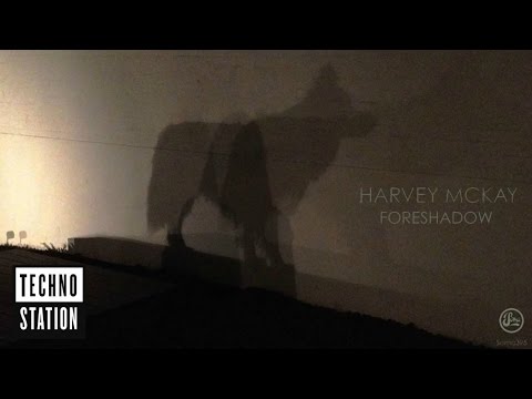Harvey McKay - Are You Real | Techno Station