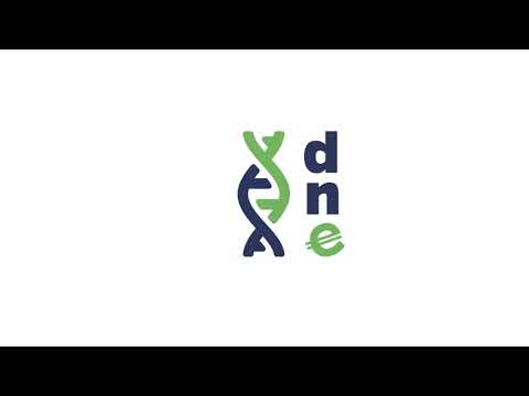 DNE Ecosystem
