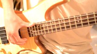 Video thumbnail for Schecter Jazz Bass & Backline 210 Bass Amp 300w by DeadBranchStudios
