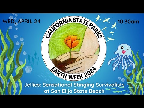 EARTH WEEK: Jellies; Sensational, Stinging, Survivalist at San Elijo State Beach