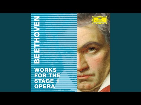 Beethoven: Fidelio, Op. 72, Act II: Finale. Heil sei dem Tag… Des besten Königs Wink und...