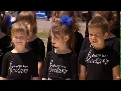 Hor Piccolo - Emisija: Žikina Šarenica (RTV PINK 08.06.2019)