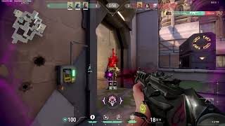 Spotlight Clip
