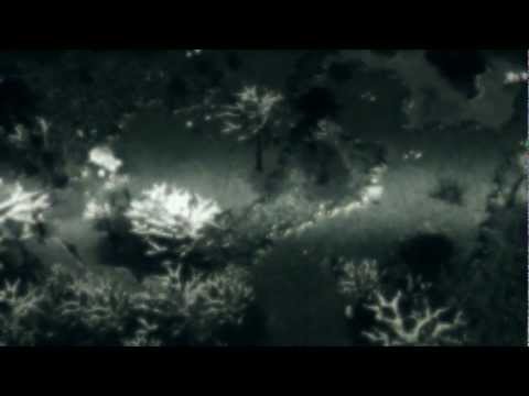 WoDotA - Shadow Fiend - The Grim Reaper.