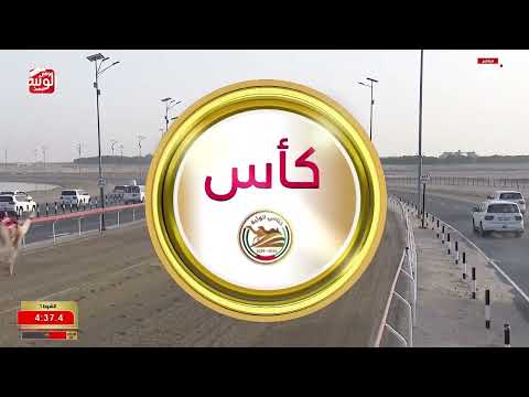 ش 1 كأس بكار مفتوح (الشاهينيه) لـ هجن الرئاسة 12:05:04 ، ختامي الوثبة 2026/05/16 ثنايا 