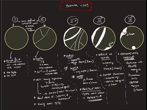 Bosniak classification of renal cysts