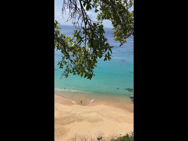 Vídeo relacionado con Lonely Planet Brazil: Perfect for exploring top sights and taking roads less travelled (Travel Guide)