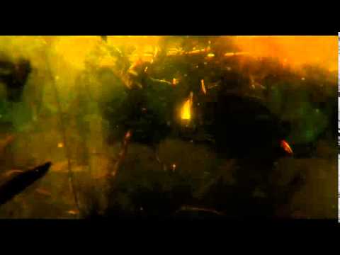 download lagu mp3 mp4 Mobbydick, download mp3 Mobbydick free downloadn, video klip Mobbydick