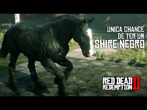 A ÚNICA CHANCE de ter um SHIRE NEGRO é essa!  - Red Dead Redemption 2